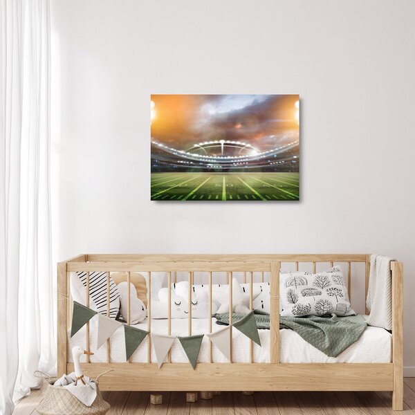 Skleněný obraz - Stadion (70x50 cm)