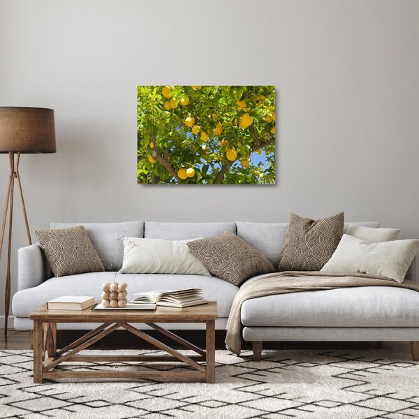 Skleněný obraz - Citrónovník (70x50 cm)