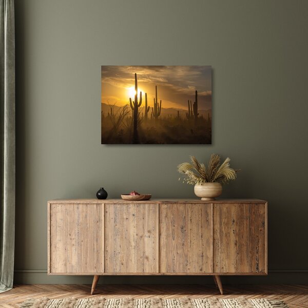 Skleněný obraz - Kaktusy Saguaro (70x50 cm)