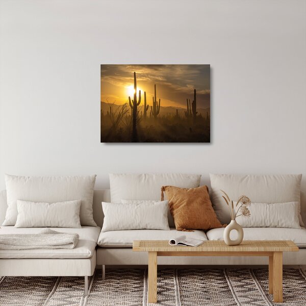 Skleněný obraz - Kaktusy Saguaro (70x50 cm)