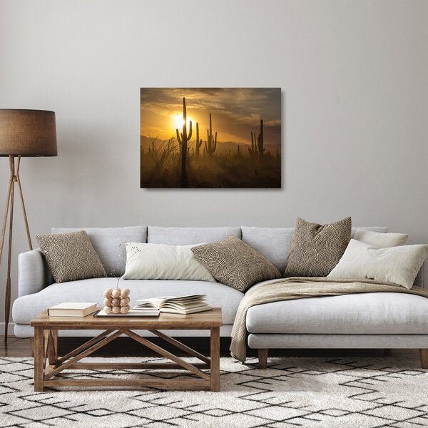 Skleněný obraz - Kaktusy Saguaro (70x50 cm)