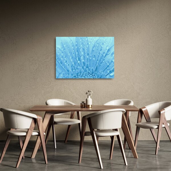 Skleněný obraz - Makro záběr květu (70x50 cm)
