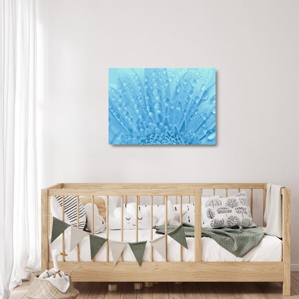 Skleněný obraz - Makro záběr květu (70x50 cm)
