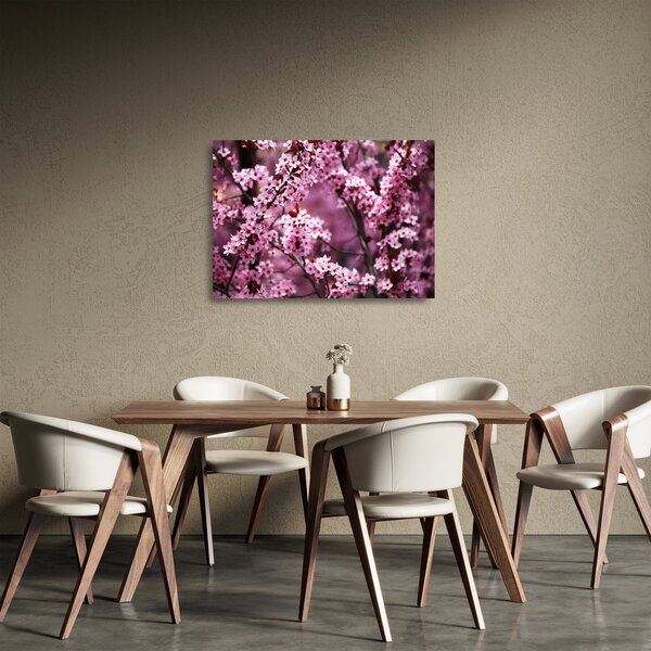 Skleněný obraz - Růžová sakura (70x50 cm)