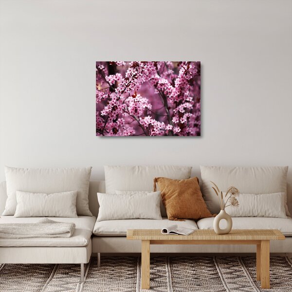 Skleněný obraz - Růžová sakura (70x50 cm)