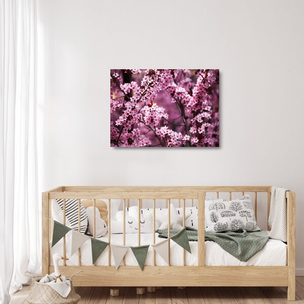 Skleněný obraz - Růžová sakura (70x50 cm)