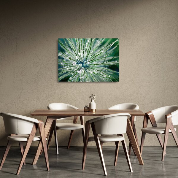 Skleněný obraz - Makro snímek květu (70x50 cm)