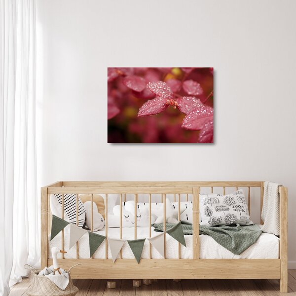 Skleněný obraz - Makro snímek lístku (70x50 cm)