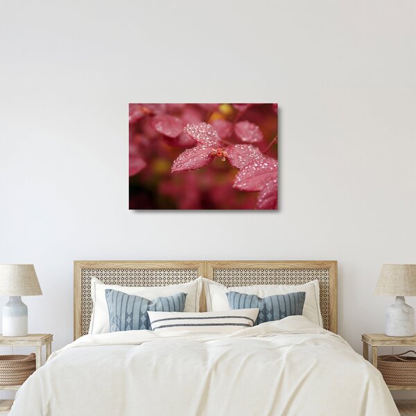 Skleněný obraz - Makro snímek lístku (70x50 cm)