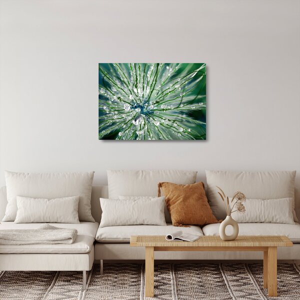 Skleněný obraz - Makro snímek květu (70x50 cm)