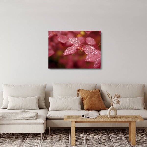Skleněný obraz - Makro snímek lístku (70x50 cm)