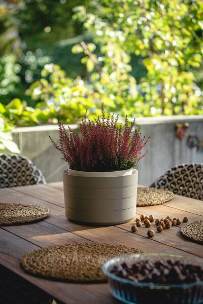 Plastia Samozavlažovací květináč Berberis 26 cm - taupe/slonová kost