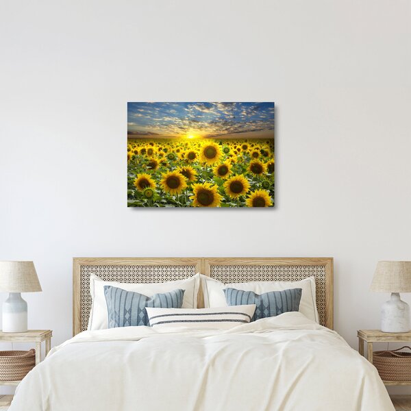 Skleněný obraz - Slunečnice při západu slunce (70x50 cm)