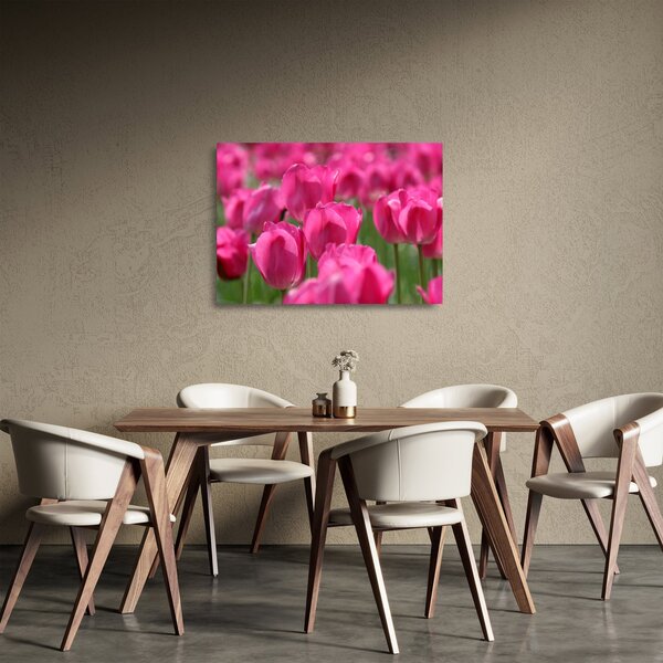Skleněný obraz - Růžové tulipány (70x50 cm)