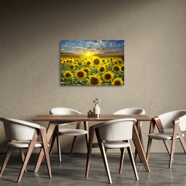 Skleněný obraz - Slunečnice při západu slunce (70x50 cm)