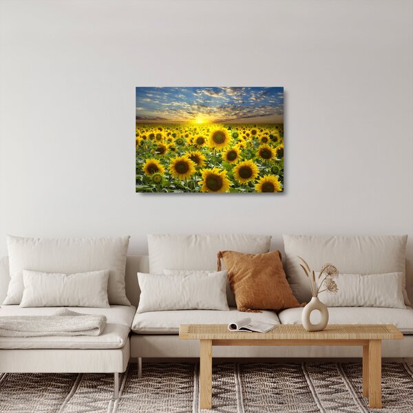 Skleněný obraz - Slunečnice při západu slunce (70x50 cm)