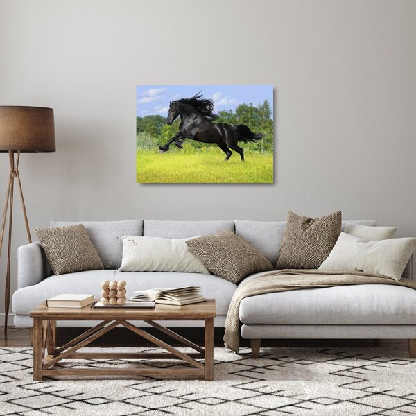 Skleněný obraz - Kůň s rozevlátou hřívou (70x50 cm)