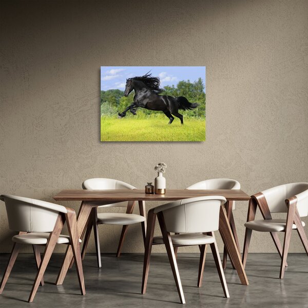 Skleněný obraz - Kůň s rozevlátou hřívou (70x50 cm)