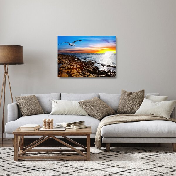 Skleněný obraz - Racek letící nad pobrežím (70x50 cm)