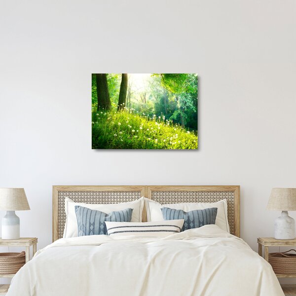 Skleněný obraz - Magická louka plná pampelišek (70x50 cm)