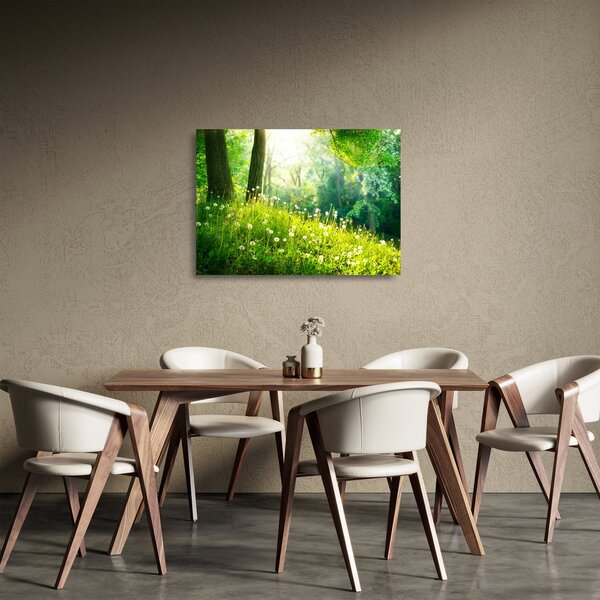 Skleněný obraz - Magická louka plná pampelišek (70x50 cm)