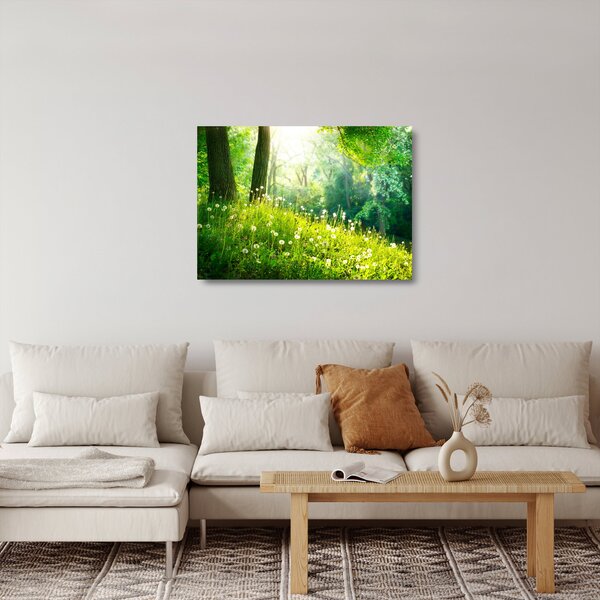 Skleněný obraz - Magická louka plná pampelišek (70x50 cm)