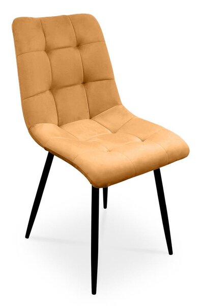 Bettso -2 x Židle do jídelny Sada 2 židlí do jídelny Židle do kuchyně Čalouněná židle Designová židle s opěradlem, se sedákem ze sametu, rám z kovu - BEN Honey Yellow / nohy černé
