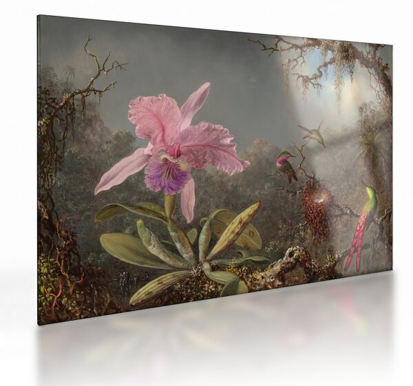 Skleněný obraz - Martin Johnson Heade, Cattleya Orchid and Three Hummingbirds, reprodukce (70x50 cm)