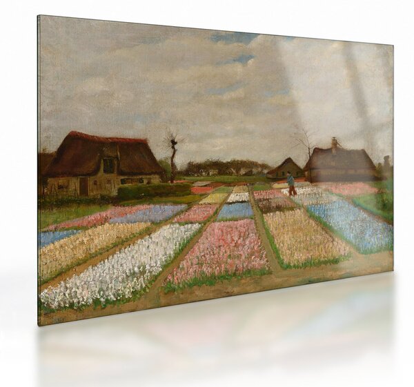 Skleněný obraz - Vincent van Gogh, Flower Beds in Holland, reprodukce (70x50 cm)