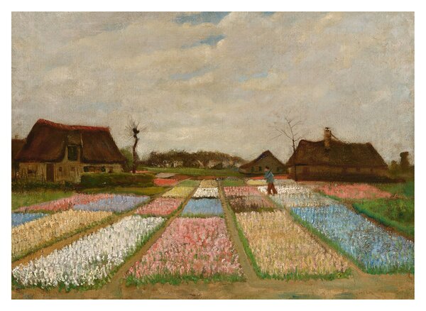 Skleněný obraz - Vincent van Gogh, Flower Beds in Holland, reprodukce (70x50 cm)