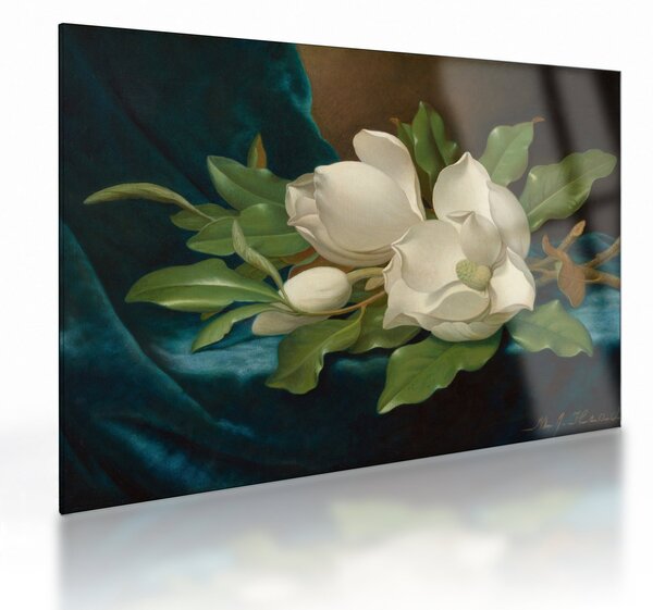 Skleněný obraz - Martin Johnson Heade, Giant Magnolias on a Blue Velvet Cloth, reprodukce (70x50 cm)