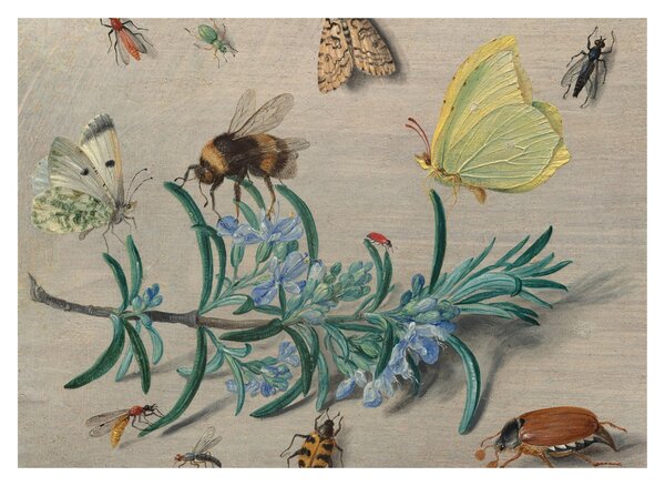 Skleněný obraz - Jan van Kessel the Elder, Insects and a Sprig of Rosemary, reprodukce (70x50 cm)