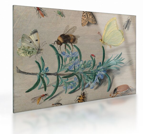Skleněný obraz - Jan van Kessel the Elder, Insects and a Sprig of Rosemary, reprodukce (70x50 cm)