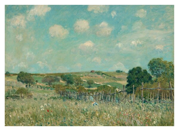 Skleněný obraz - Alfred Sisley, Meadow, reprodukce (70x50 cm)
