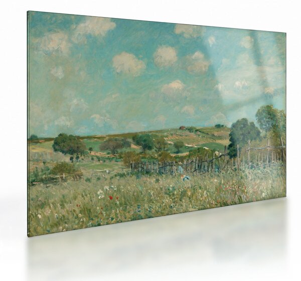 Skleněný obraz - Alfred Sisley, Meadow, reprodukce (70x50 cm)