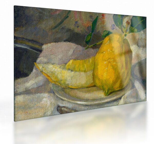 Skleněný obraz - French 19th Century, Melon and Lemon, reprodukce (70x50 cm)