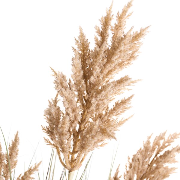 Umělá rostlina MISCANTHUS GRASS 120 cm Hnědá