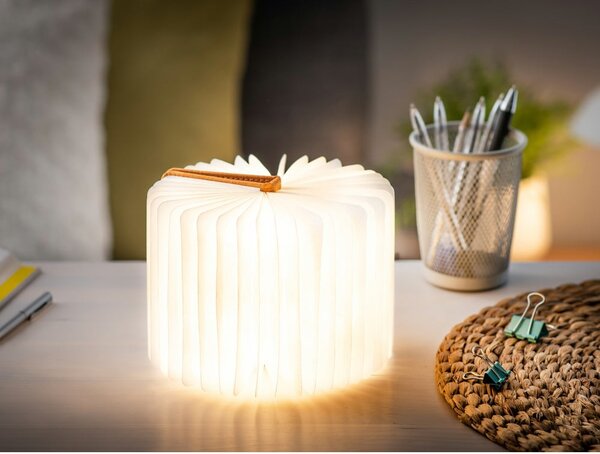Oranžová světelná dekorace na USB Booklight – Gingko