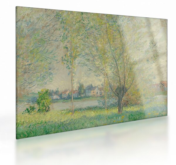 Skleněný obraz - Claude Monet, The Willows, reprodukce (70x50 cm)