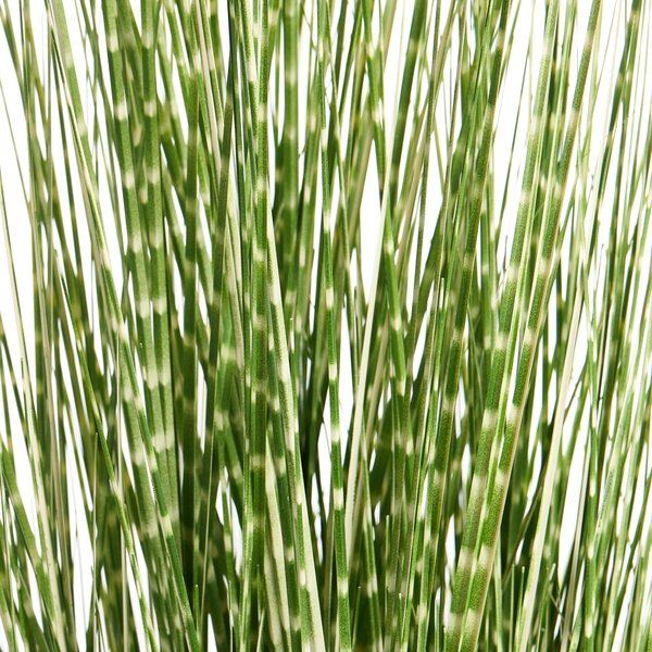 Umělá rostlina ZEBRA GRASS 120 cm Zelená