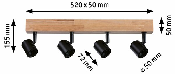 PAULMANN Stropní bodové svítidlo Arvid E27 230V max. 4x20W stmívatelné černá