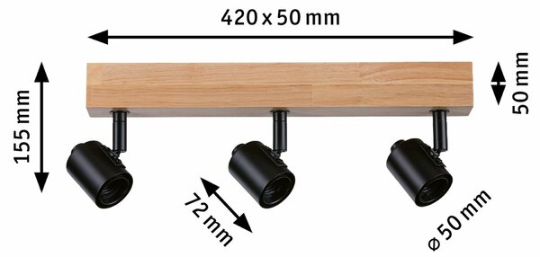 PAULMANN Stropní bodové svítidlo Arvid E27 230V max. 3x20W stmívatelné černá