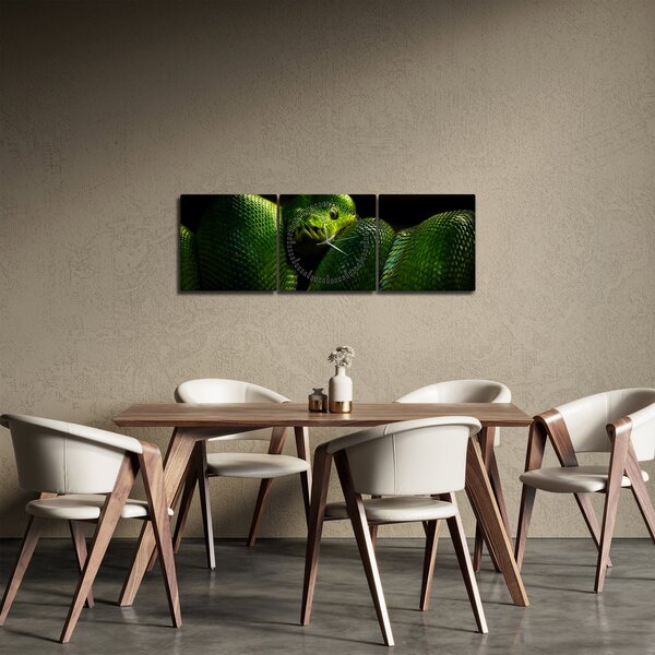 Obraz - Zelený had (s hodinami) (90x30 cm)