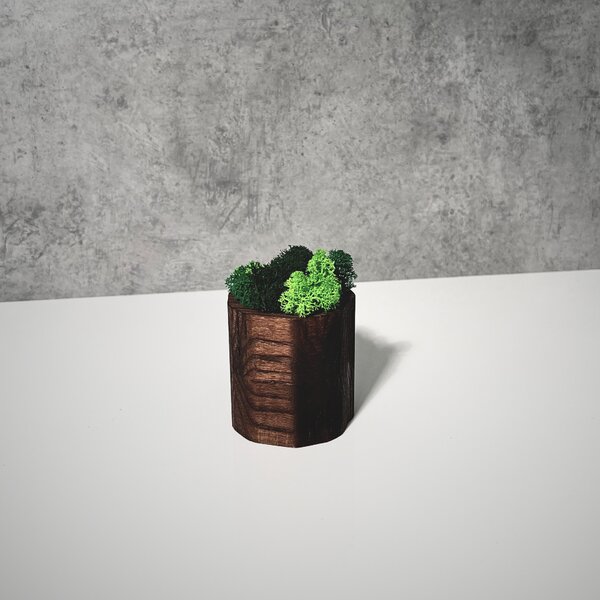 Wooden Mooden Dřevěný květináč s mechem Materiál: Jasan, Výška: 5 cm