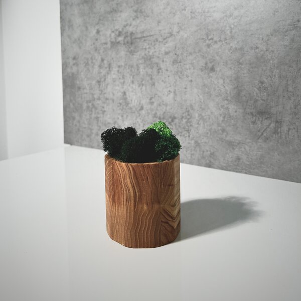 Wooden Mooden Dřevěný květináč s mechem Materiál: Jasan, Výška: 5 cm
