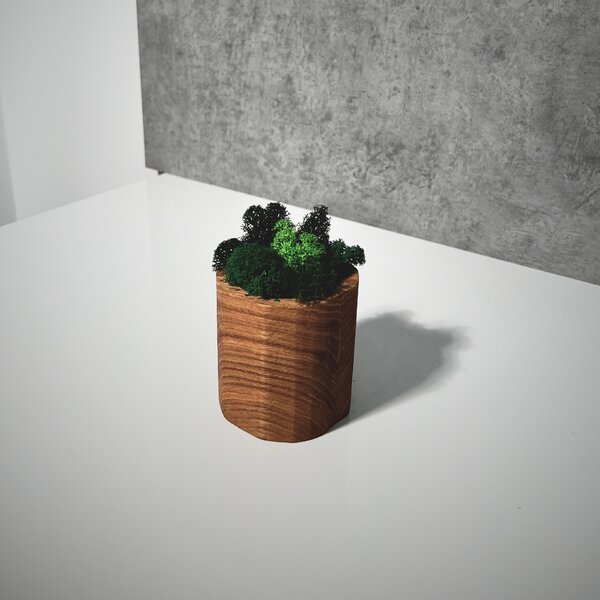 Wooden Mooden Dřevěný květináč s mechem Materiál: Jasan, Výška: 5 cm
