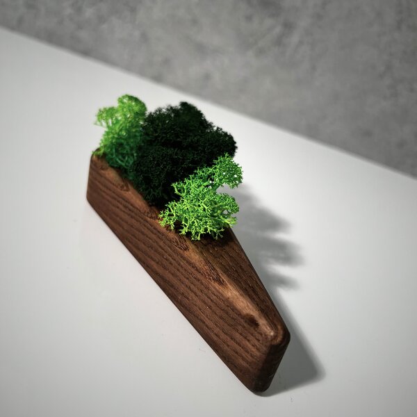Wooden Mooden Květináč s mechem Šíp Materiál: Jasan
