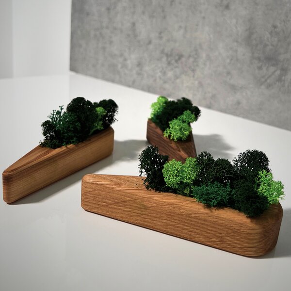 Wooden Mooden Květináč s mechem Šíp Materiál: Jasan
