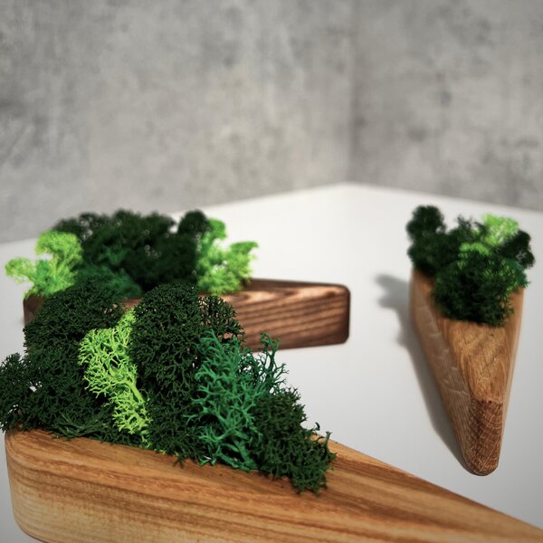 Wooden Mooden Květináč s mechem Šíp Materiál: Jasan