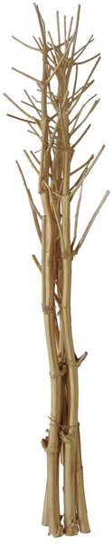 Suché větvičky fenyklu, zlatá, 160 cm